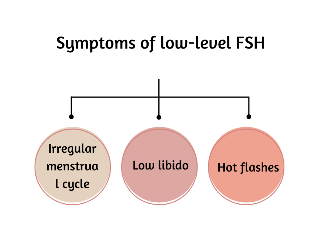 fsh levels chart
